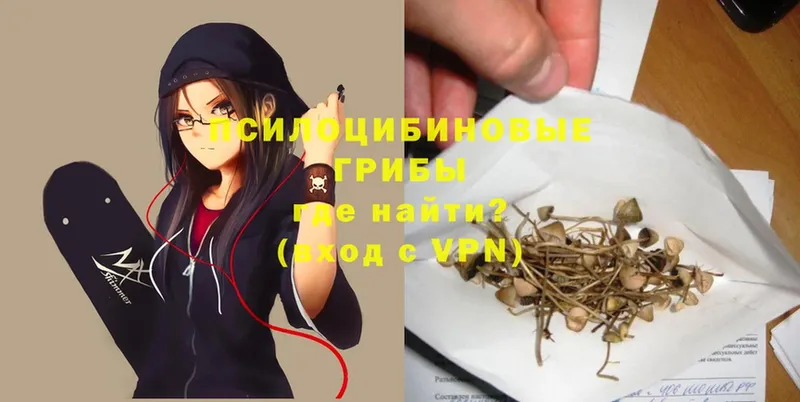 Галлюциногенные грибы Psilocybine cubensis  Североуральск 